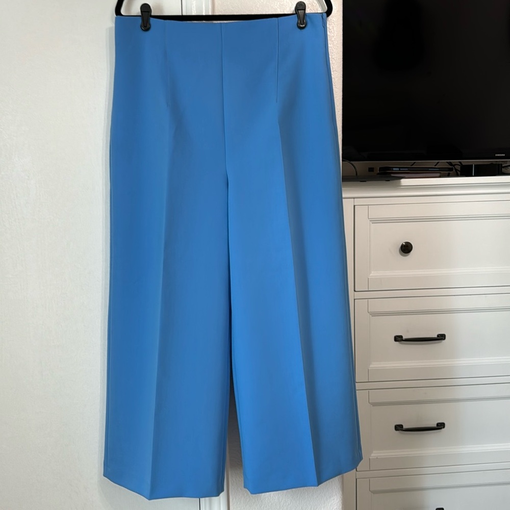 Zara high waisted wide leg pants